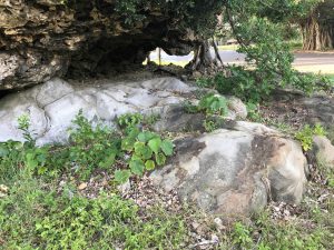 November 9, 2019 - (17) Ishigaki - Tsunami Uhuishi - 4 of 4