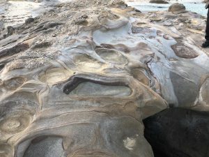 November 9, 2019 - (18) Ishigaki - Big footprint on Ohama Coast - 1 of 1
